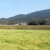 合わせ味噌　しあわせ