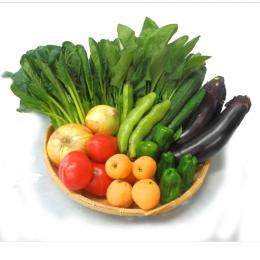 旬の野菜・果物セット