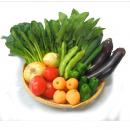 旬の野菜・果物セット