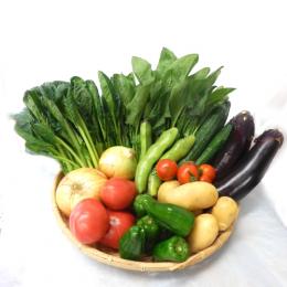 旬の野菜セット