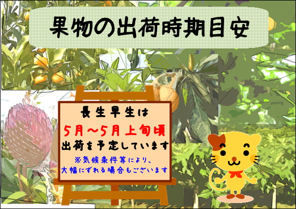 収穫時期