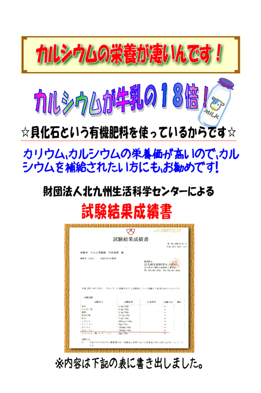 カルシウムの栄養が凄いんです。カルシウムが牛乳の１８倍。貝化石という有機肥料を使っているからです。カリウム、カルシウムの栄養価が高いのでカルシウムを補給されたい方にもお勧めです。高倉びわの葉茶 有機肥料 無農薬 カルシウム、茶,健康茶,ビワ,ビワの葉,高倉,岡垣町,びわ,枇杷茶,ビワ茶,びわ茶,岡垣,ごくごく,アトピー,無農薬,有機栽培,エコファーマー,アミグダリン,クエン酸,リンゴ酸,ビタミンC,カルシウム,ミネラル,ティーパック,牛乳,安心,安全,玉露,
焙煎,福岡県,手づくり,手作り,こだわり