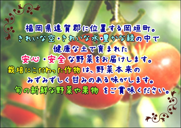 産直野菜詰合せ（産地直送新鮮野菜）