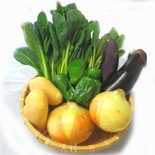 産地直送野菜詰合せ（お試し）