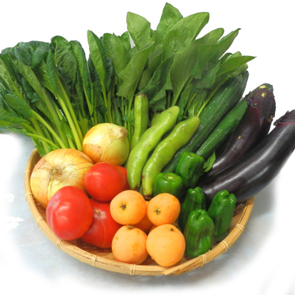 産地直送野菜詰合せ（お試し）