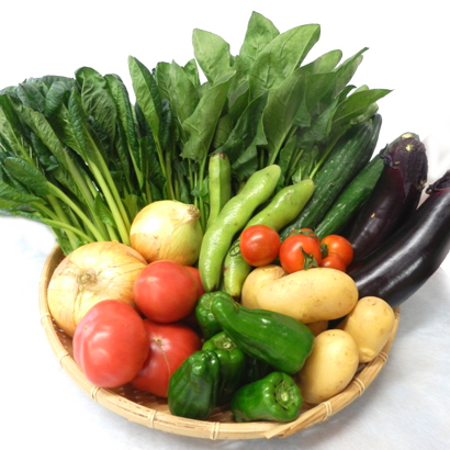 産地直送野菜詰合せ（お試し）