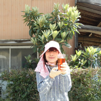高倉びわの葉茶３袋セット